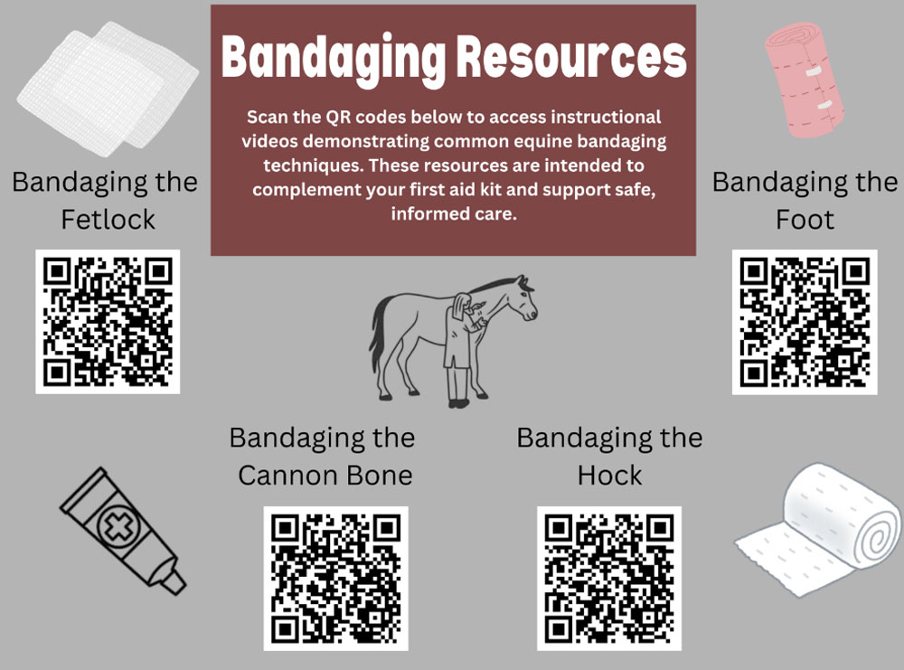 Informational graphic titled