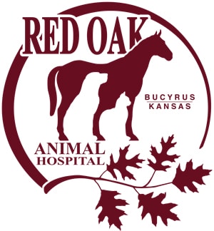 Logo for Red Oak Animal Hospital featuring a maroon horse silhouette inside a circular border, oak leaves below, and the text "Red Oak Animal Hospital, Bucyrus Kansas"—ideal for any vet or veterinarian clinic branding.