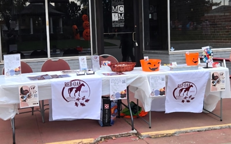 A table covered with Red Oak Animal Rescue banners is set up outside, displaying flyers, baskets, pumpkin buckets, and donation items, likely for a Halloween-themed event.