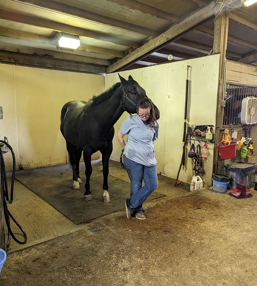 A woman stands in a stable, smiling with her head down as a black horse nuzzles her hair from behind. The stable, resembling a well-equipped animal hospital, features tools and supplies hanging on the walls and shelves.