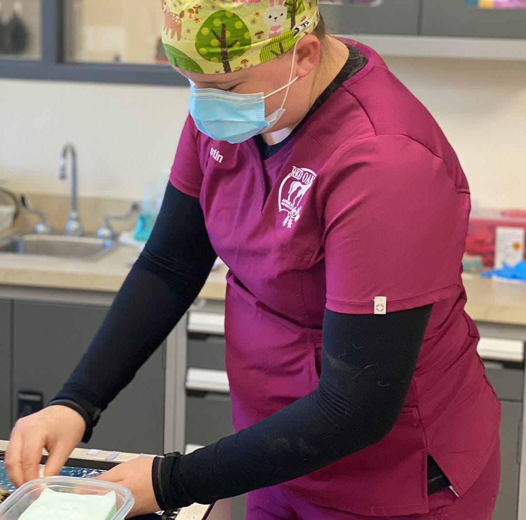 A person in magenta medical scrubs, a colorful cap with animal designs, and a face mask is working at a countertop in an animal hospital, handling materials on a tray.