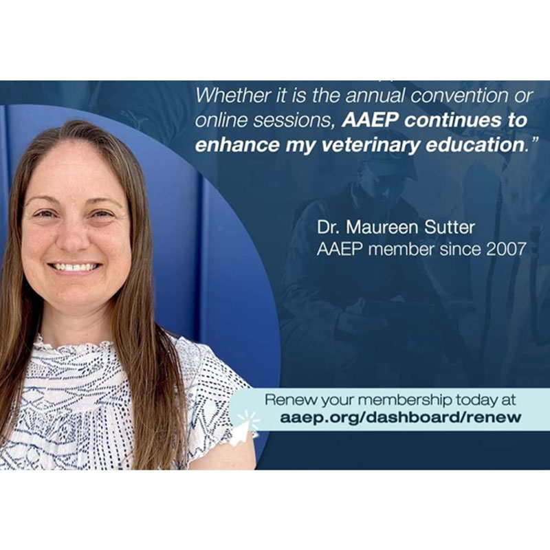 A smiling woman stands in front of a blue background. A quote from Dr. Maureen Sutter about enhancing veterinary education and membership renewal details for AAEP appear beside her.