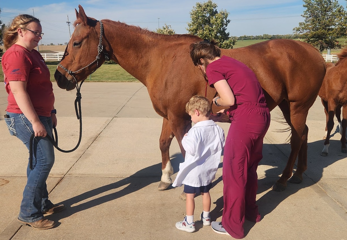 A veterinarian in maroon scrubs examines a brown horse outdoors, while a woman in a red shirt holds the horse’s lead. A young boy in a white shirt stands beside them on a sunny day.