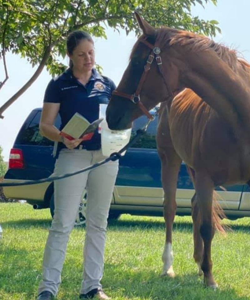 A woman, possibly a veterinarian, stands on grass next to a brown horse, holding its lead and reading a book. The horse looks at the book. A blue SUV and trees are in the background.