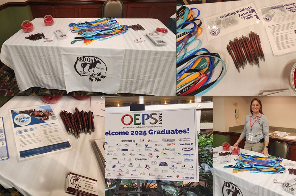 A collage shows a conference table with Red Oak logo, colorful lanyards, pens, candy bowls, papers, and an OEPS 2025 welcome sign. A smiling woman stands behind the table. Logos of sponsors are also visible.