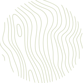 A circular pattern of thin, wavy, light green lines on a white background, resembling abstract wood grain or topographic lines—ideal for a veterinarian office or pet clinic seeking a calming, nature-inspired design.